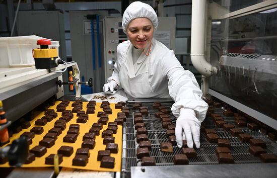 Russia Confectionery Industry