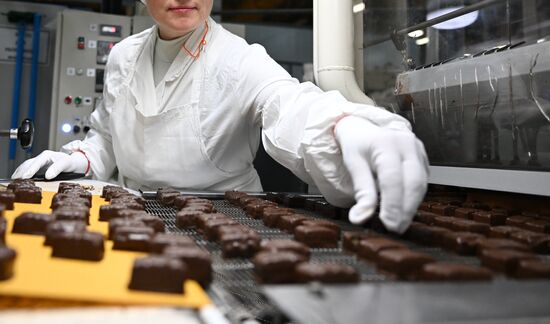 Russia Confectionery Industry