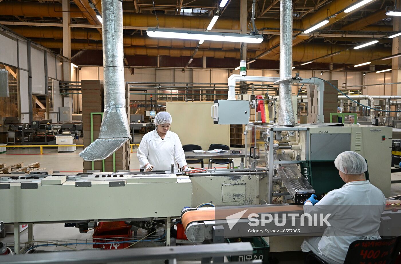 Russia Confectionery Industry