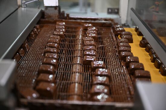 Russia Confectionery Industry