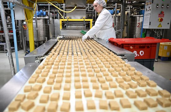 Russia Confectionery Industry