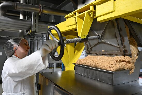 Russia Confectionery Industry