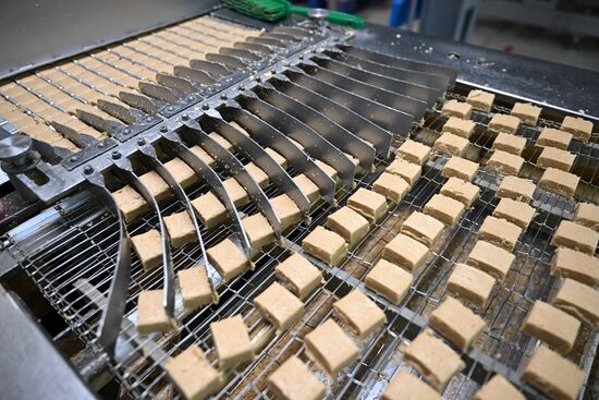 Russia Confectionery Industry