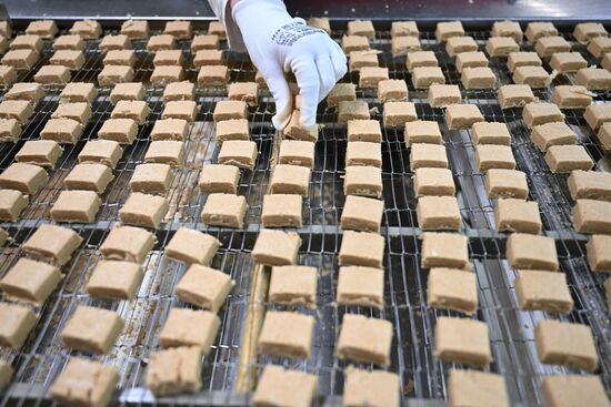 Russia Confectionery Industry