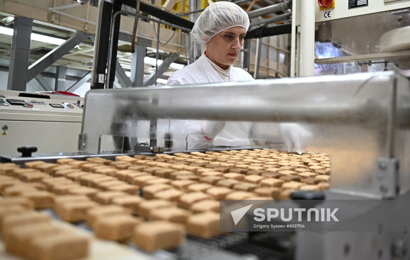 Russia Confectionery Industry