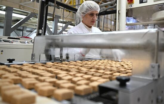 Russia Confectionery Industry