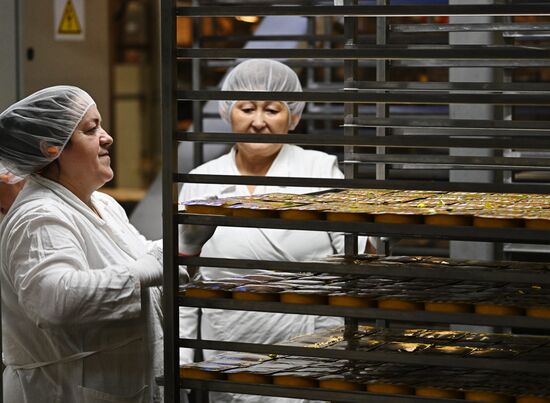Russia Confectionery Industry