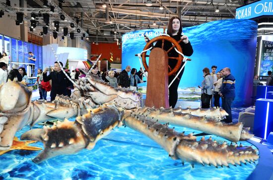 International RUSSIA EXPO forum and exhibition. Location: Russia, Moscow. Author: Ilya Pitalev/Sputnik. RUSSIA EXPO International Forum and Exhibition