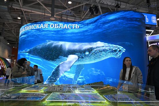 International RUSSIA EXPO forum and exhibition