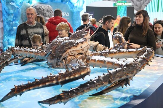 International RUSSIA EXPO forum and exhibition