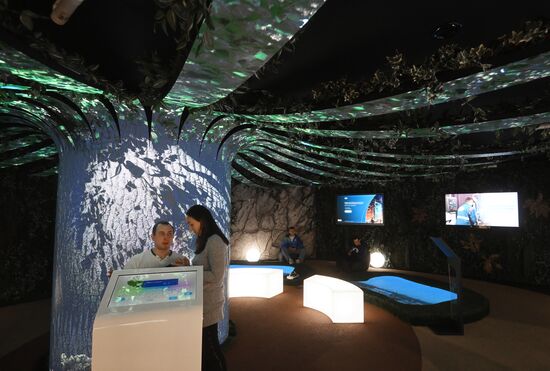 The International RUSSIA EXPO forum and exhibition. Pavilion S, Sport fro Everyone. Location: Russia, Moscow. Author: Kirill Kallinikov/Sputnik. International RUSSIA EXPO forum and exhibition