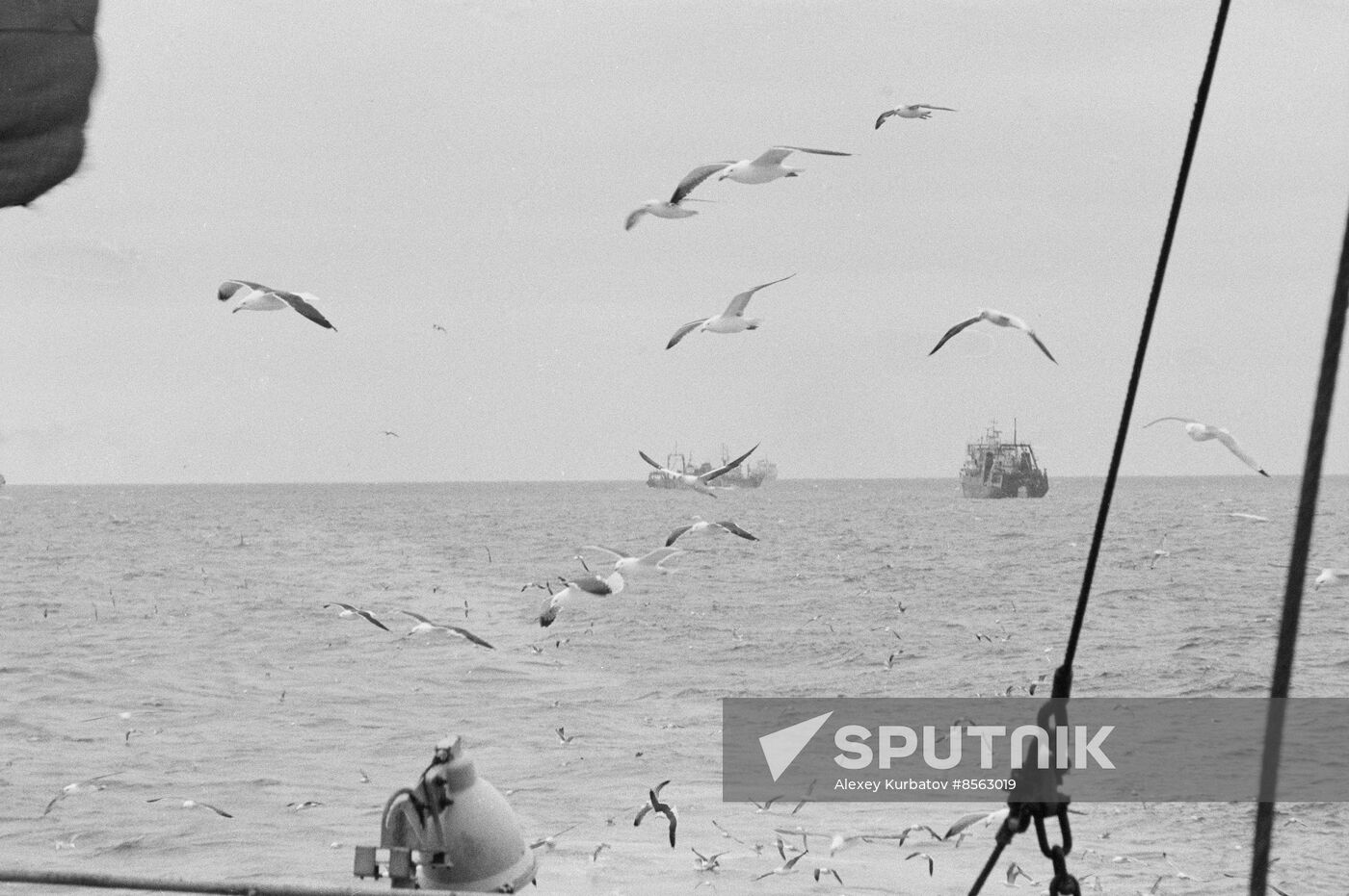 North Atlantic