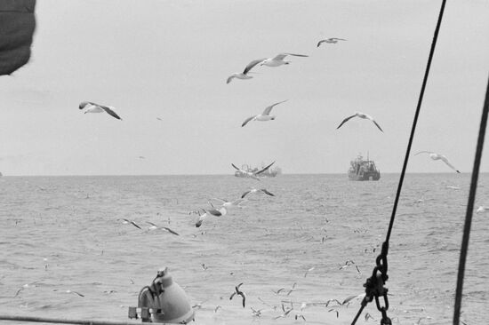 North Atlantic