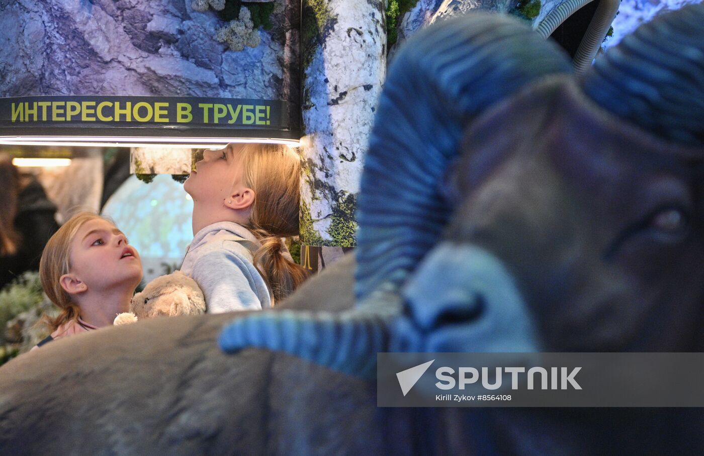 International RUSSIA EXPO forum and exhibition