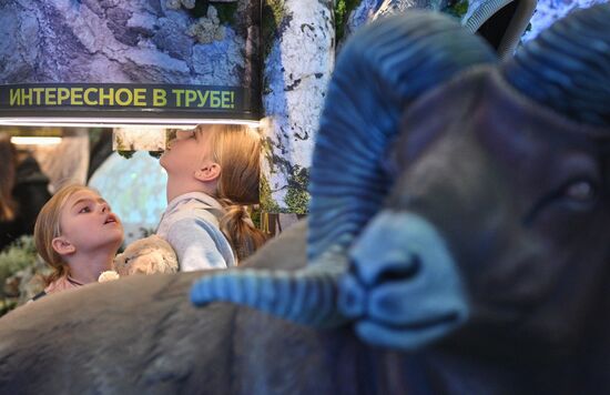 International RUSSIA EXPO forum and exhibition