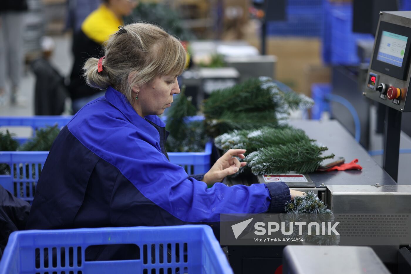 Russia New Year Season Preparations