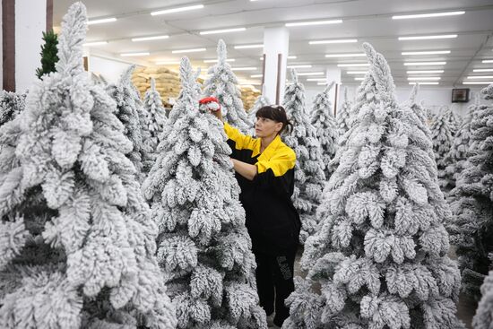 Russia New Year Season Preparations