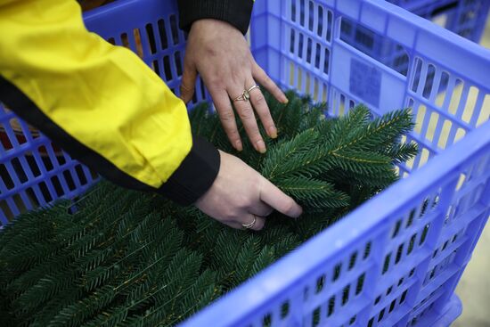 Russia New Year Season Preparations