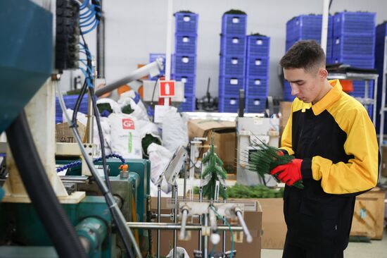 Russia New Year Season Preparations