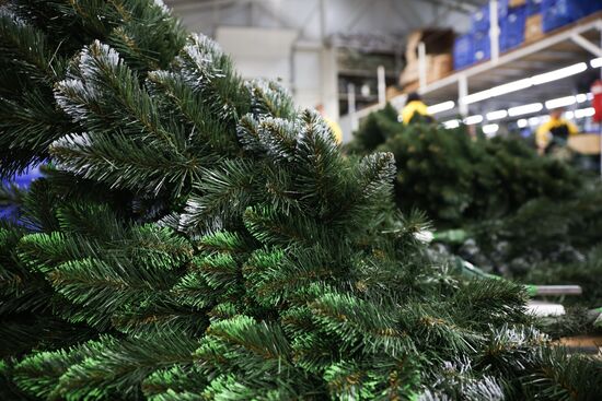Russia New Year Season Preparations