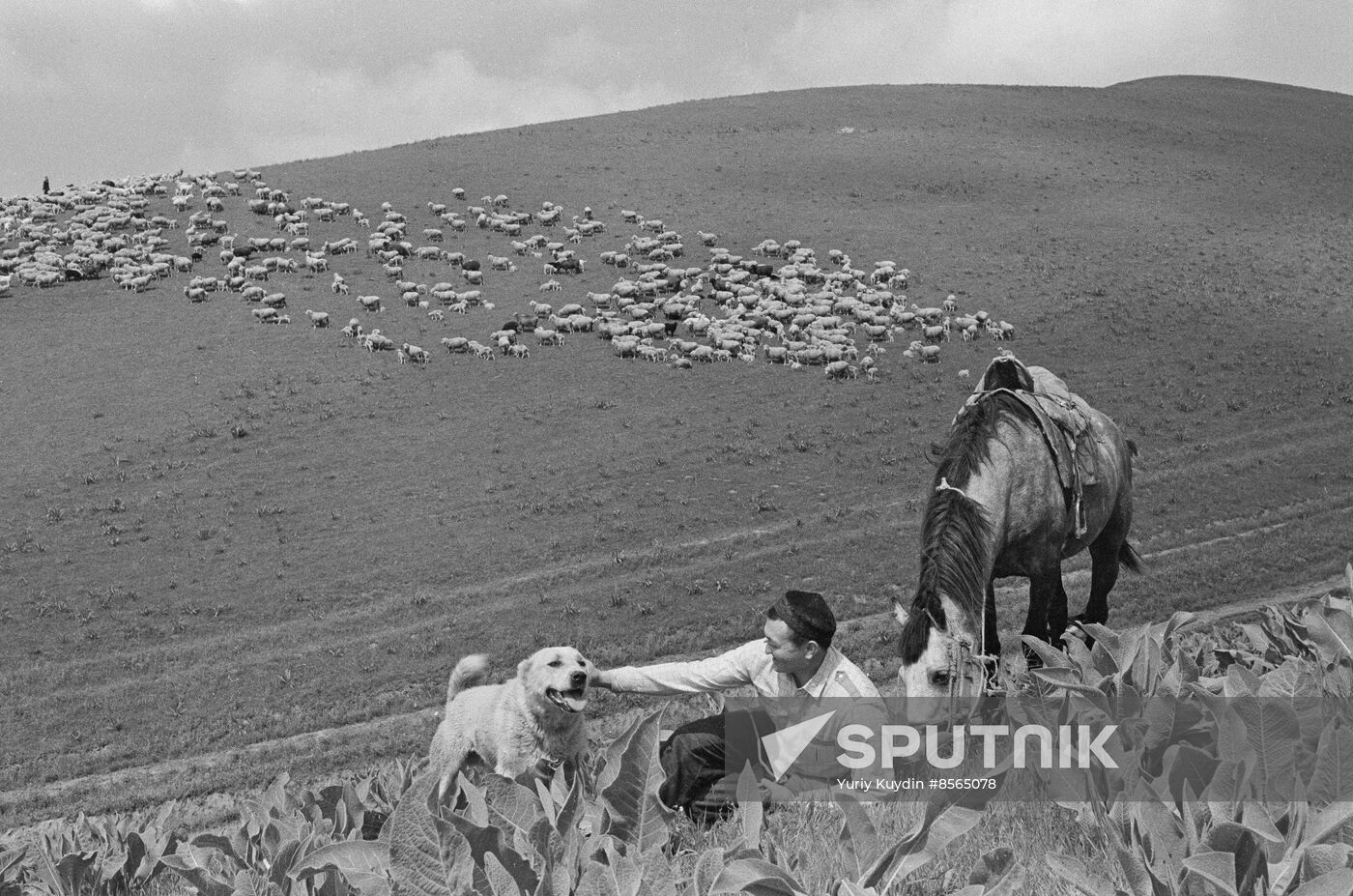 Kazakh SSR