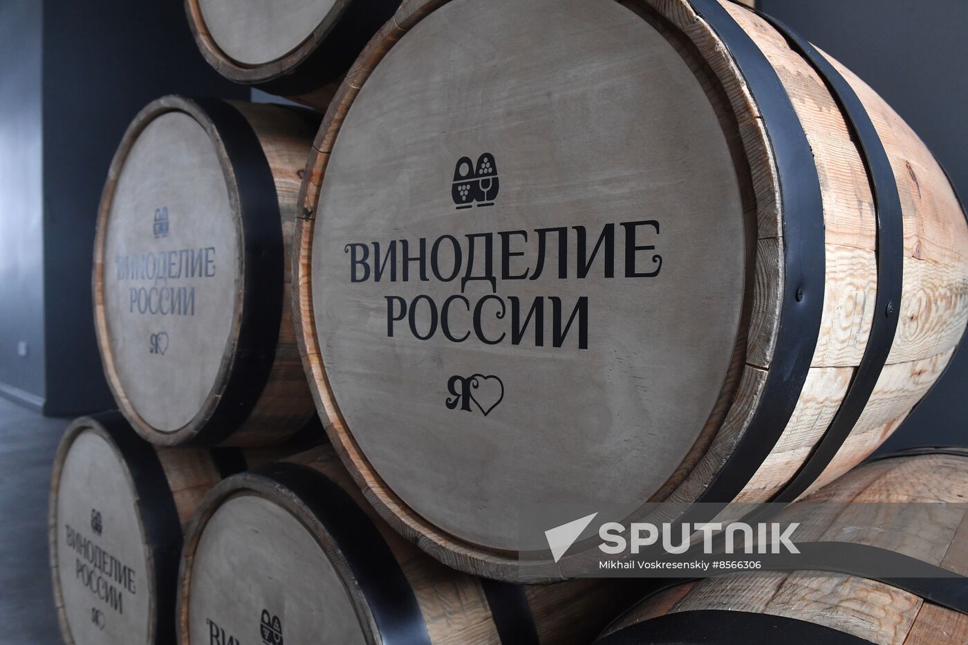 RUSSIA EXPO. Foresight session, Russian Winemaking in the Offing: Visionaries' Outlook
