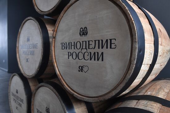 RUSSIA EXPO. Foresight session, Russian Winemaking in the Offing: Visionaries' Outlook