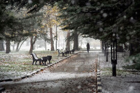 Russia Weather
