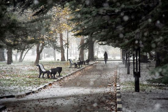Russia Weather