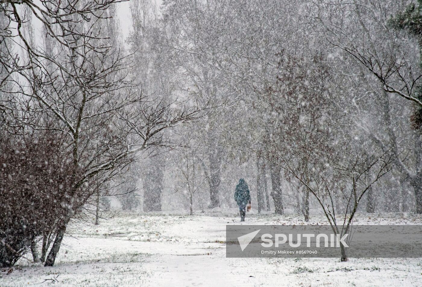 Russia Weather