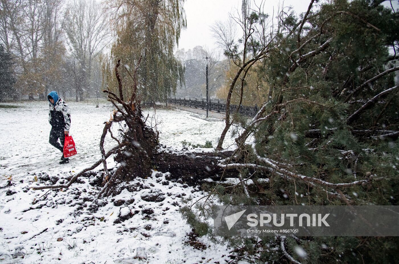 Russia Weather