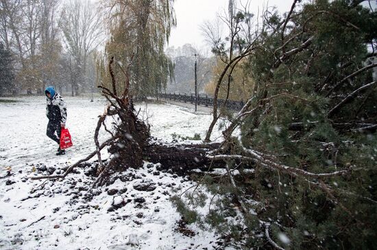 Russia Weather