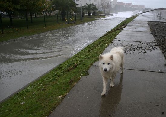 Russia Weather Storm