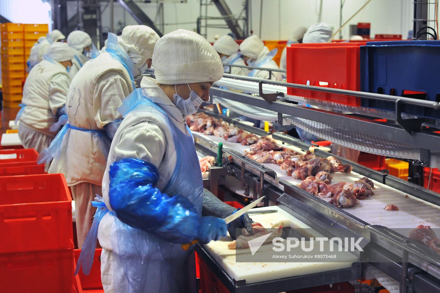 Russia Food Industry