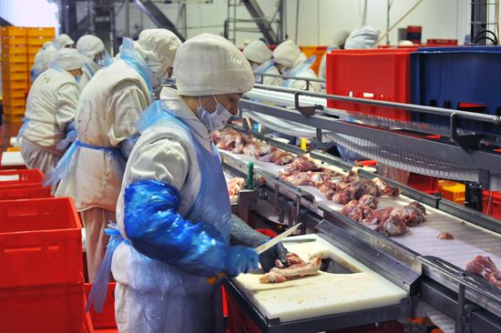Russia Food Industry