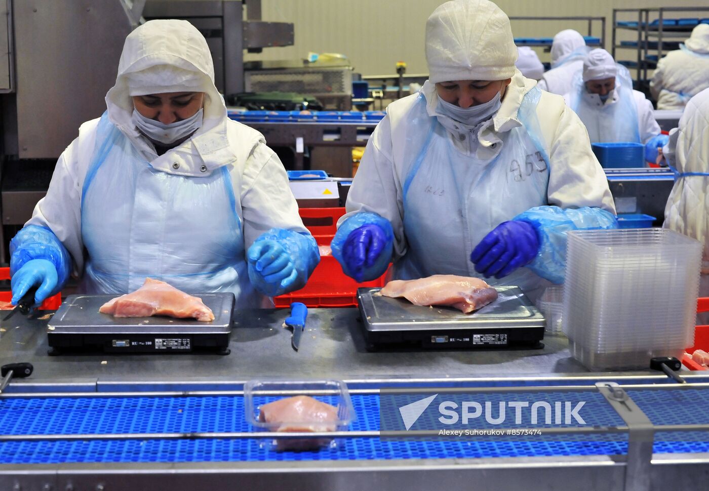 Russia Food Industry