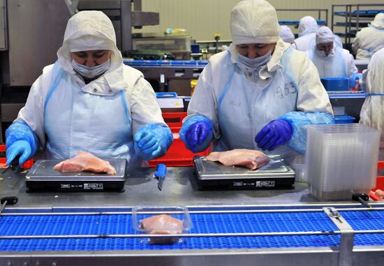 Russia Food Industry