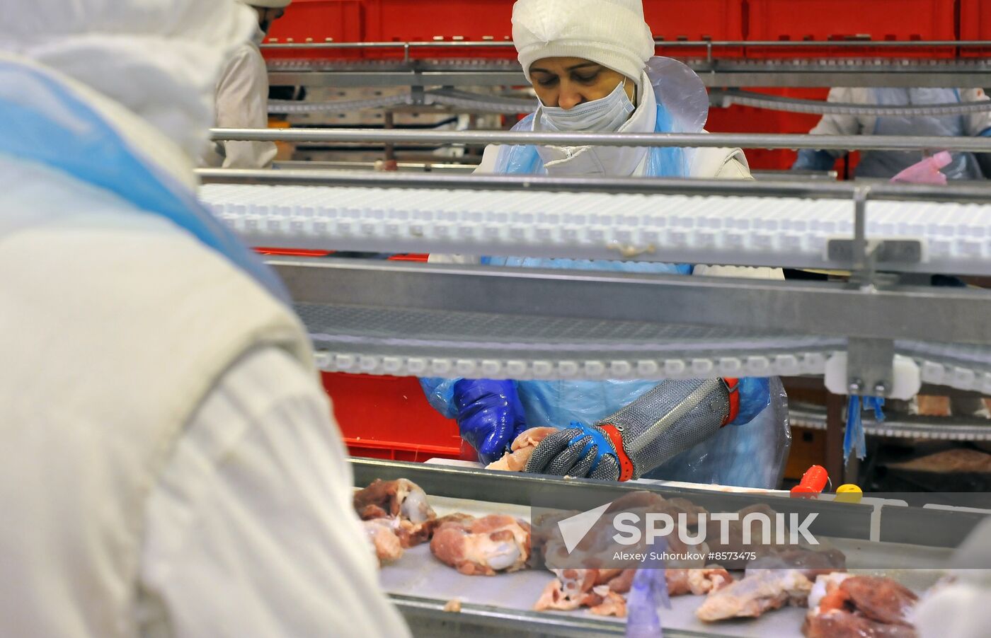 Russia Food Industry