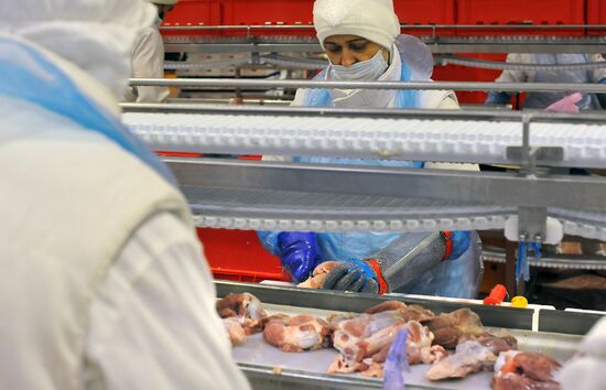 Russia Food Industry