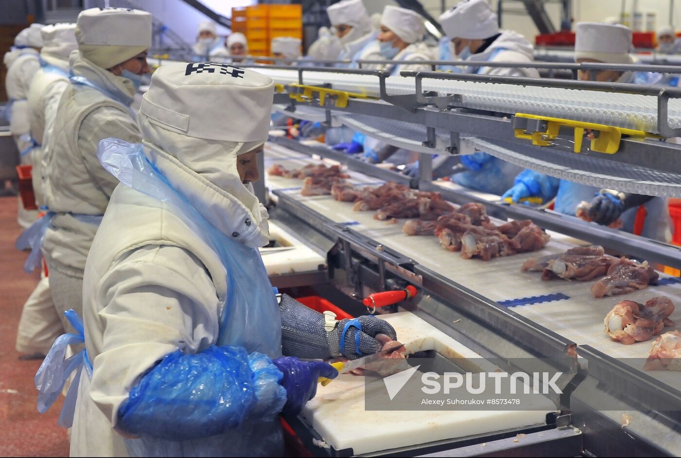 Russia Food Industry