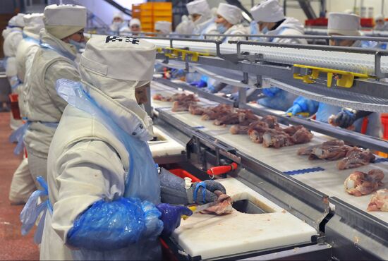 Russia Food Industry
