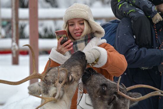 Russia Reindeer Farm