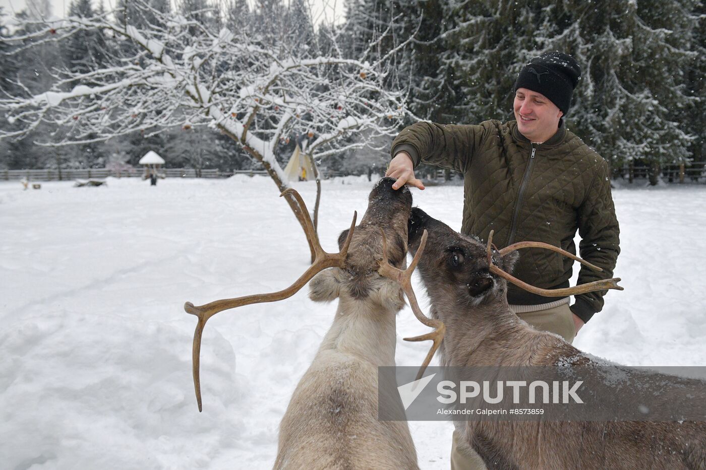 Russia Reindeer Farm