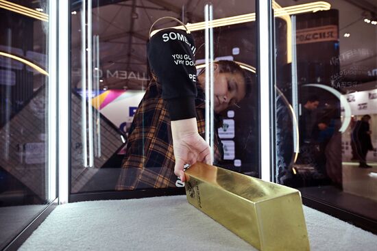 The International RUSSIA EXPO Forum and Exhibition. Location: Russia, Moscow. Author: Grigory Sysoev/Sputnik. International RUSSIA EXPO forum and exhibition