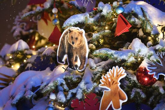 The International RUSSIA EXPO Forum and Exhibition. The Christmas Tree of the Murmansk Region. Location: Russia, Moscow. Author: Vladimir Vyatkin/Sputnik. International RUSSIA EXPO forum and exhibition
