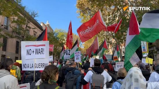 Pro-Palestinian action in center of Madrid