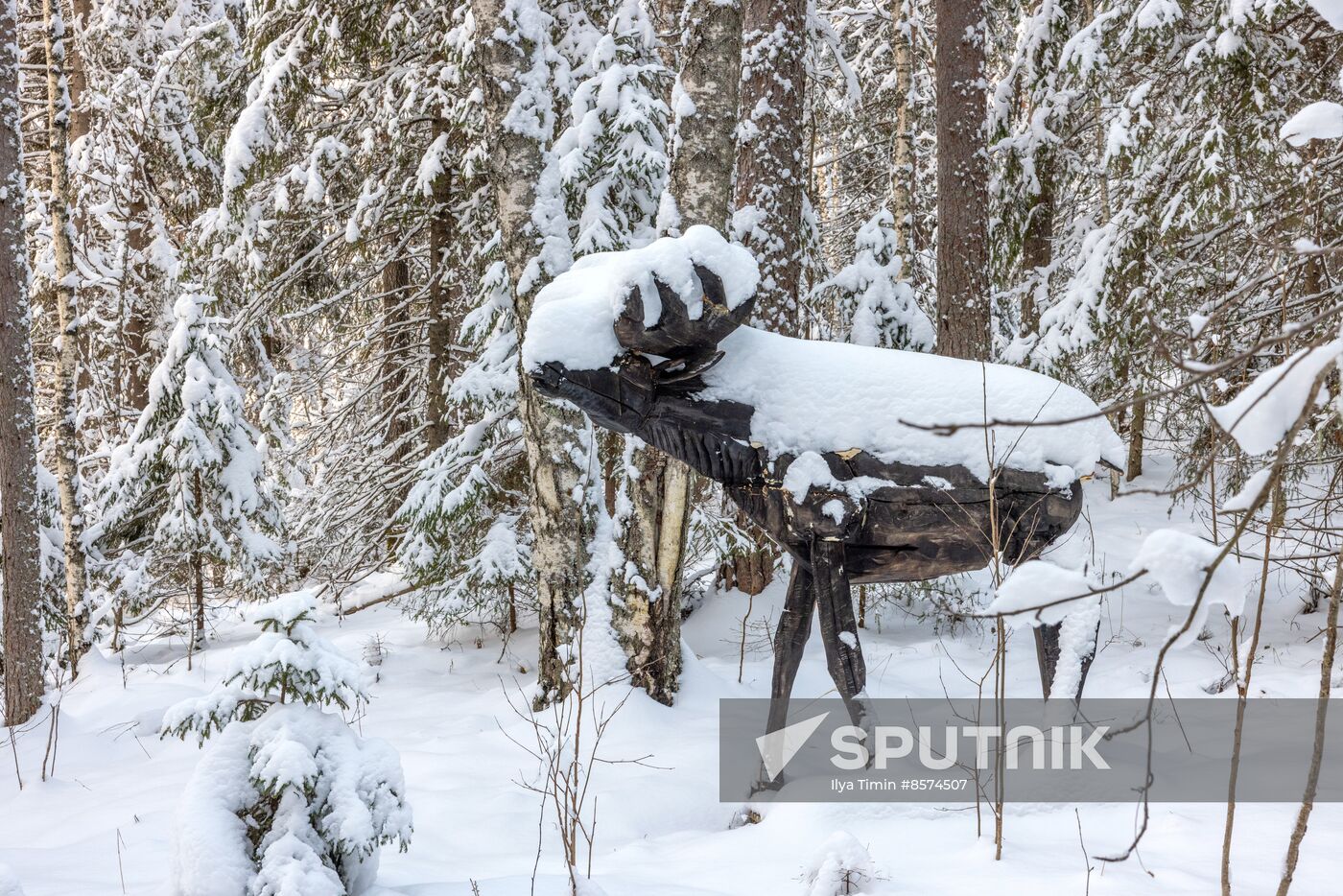 Russia Environment