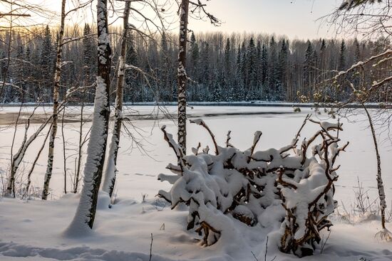 Russia Environment