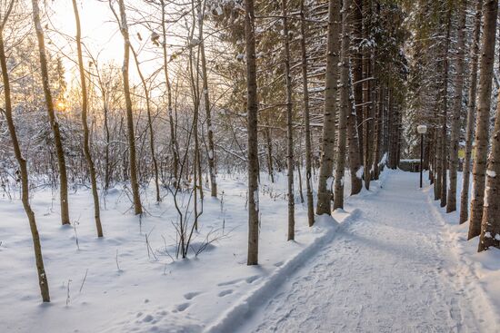 Russia Environment