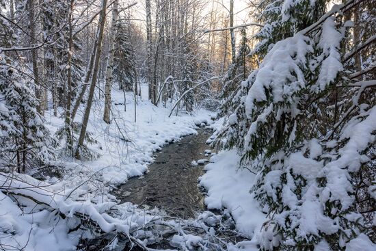 Russia Environment